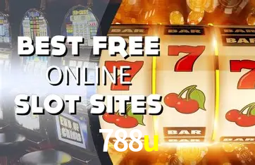 Interface Premium 788u